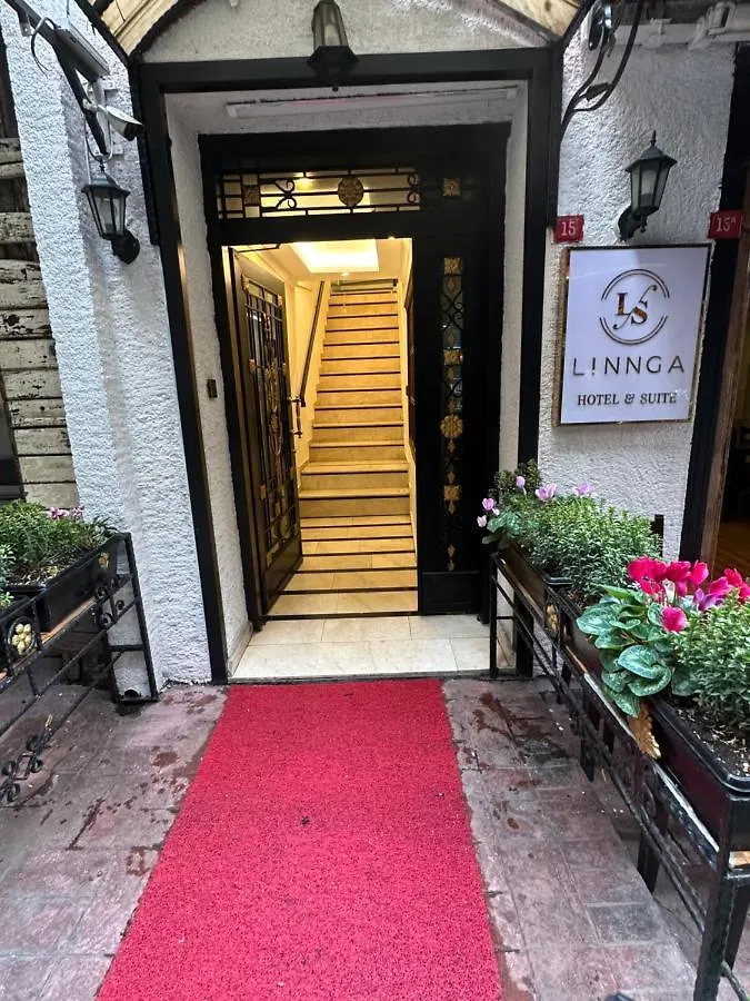 Linnga Hotel & Suite Istanbul 0*,  Turcia